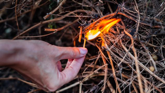 Amenzi "fierbinţi" pentru gălăţenii care "se joacă" cu focul! Strict interzisă incendierea miriştilor, stufului, tufărişurilor sau vegetaţiei ierboase