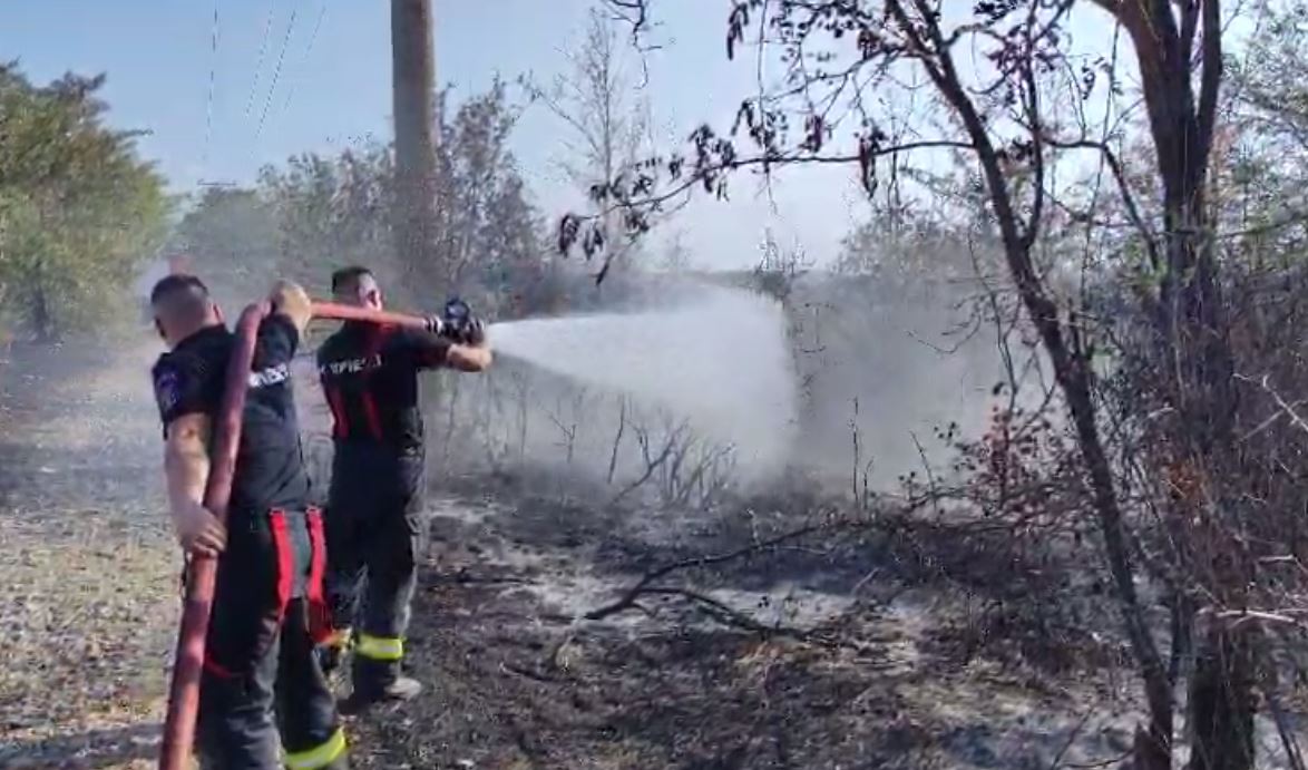 Incendiu pe 12 hectare de vegetaţie, la Cuza Vodă