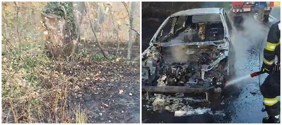 VIDEO: Pădure ameninţată de flăcări după ce o maşină a luat foc, lângă Topolog, Tulcea