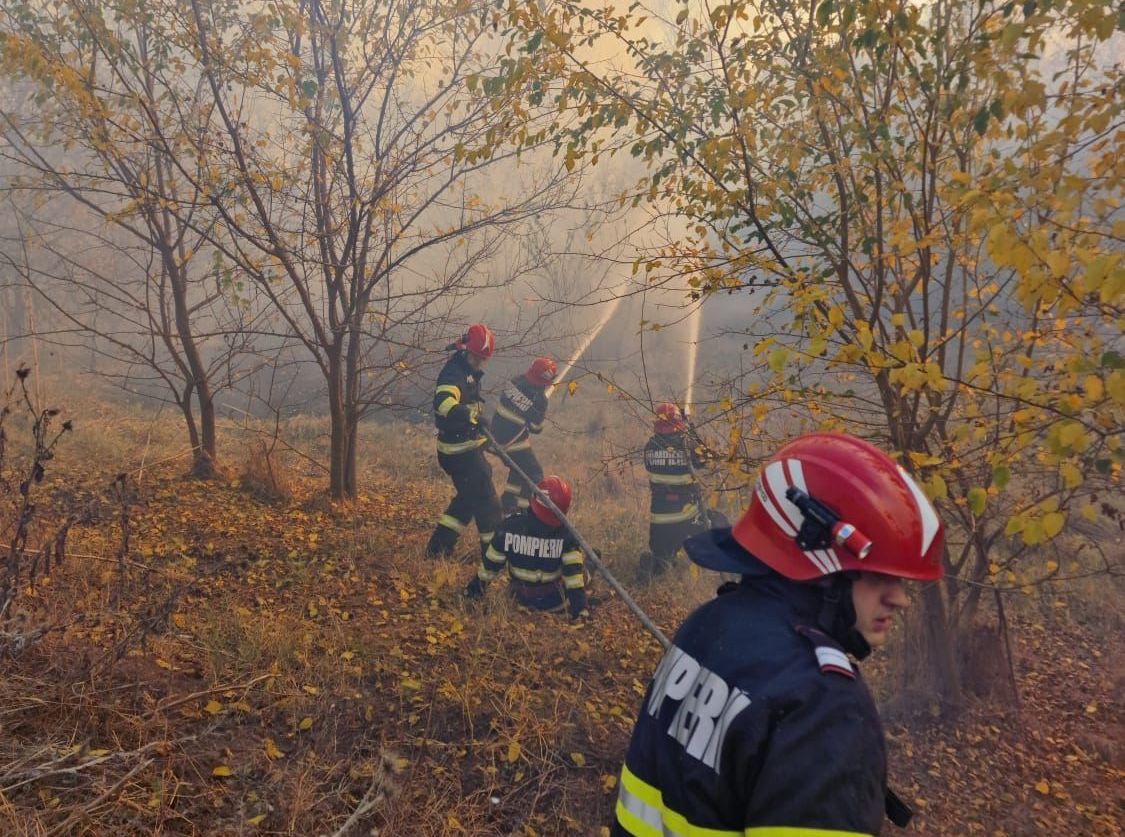 FOTO/VIDEO: Incendii de vegetaţie uscată în Delta Dunării