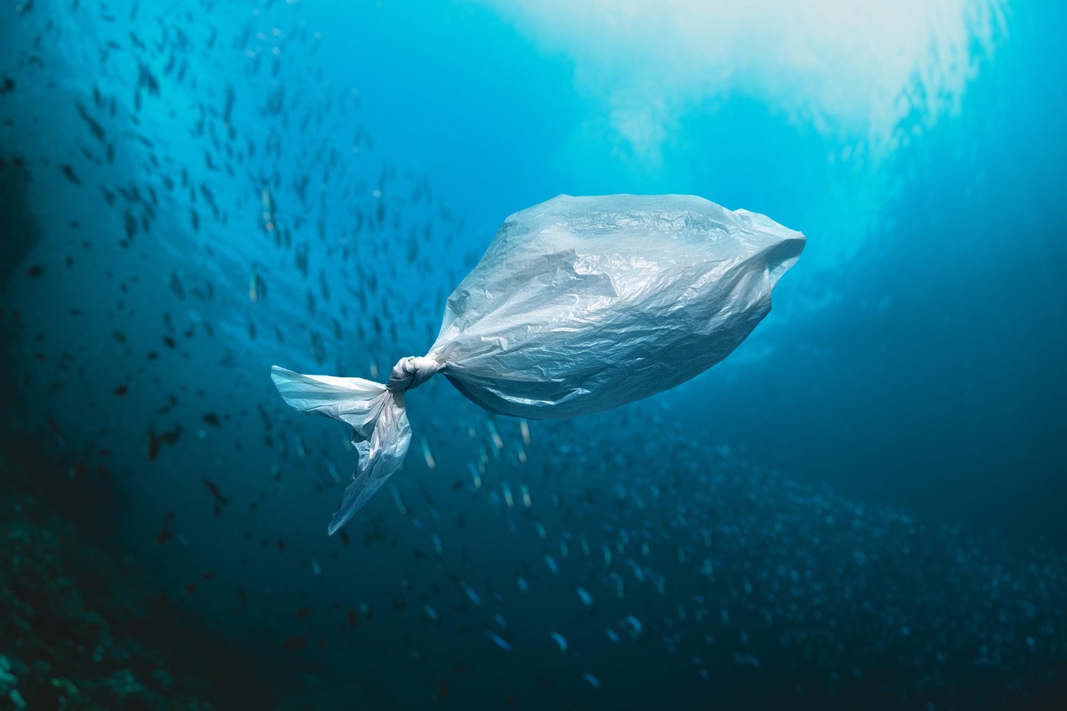Aproximativ 1 milion de tone de aditivi din plastic se scurg în oceane în fiecare an