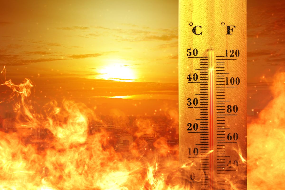 Căldura extremă riscă să provoace de cinci ori mai multe decese până în 2050