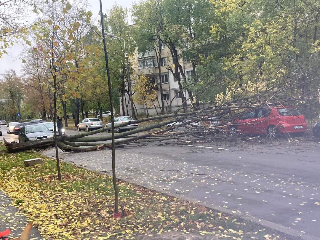 Două autoturisme avariate de crengile rupte de vânt, în municipiul Galaţi