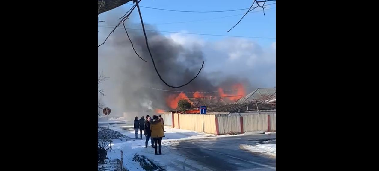 VIDEO: Incendiu puternic la Malu Alb