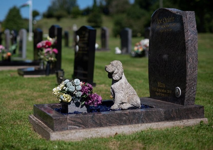 CJ Galaţi va înfiinţa un cimitir pentru animale de companie