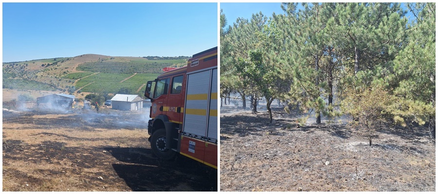 Tulcea: Incendiu izbucnit lângă pădure, la Cerna (UPDATE)