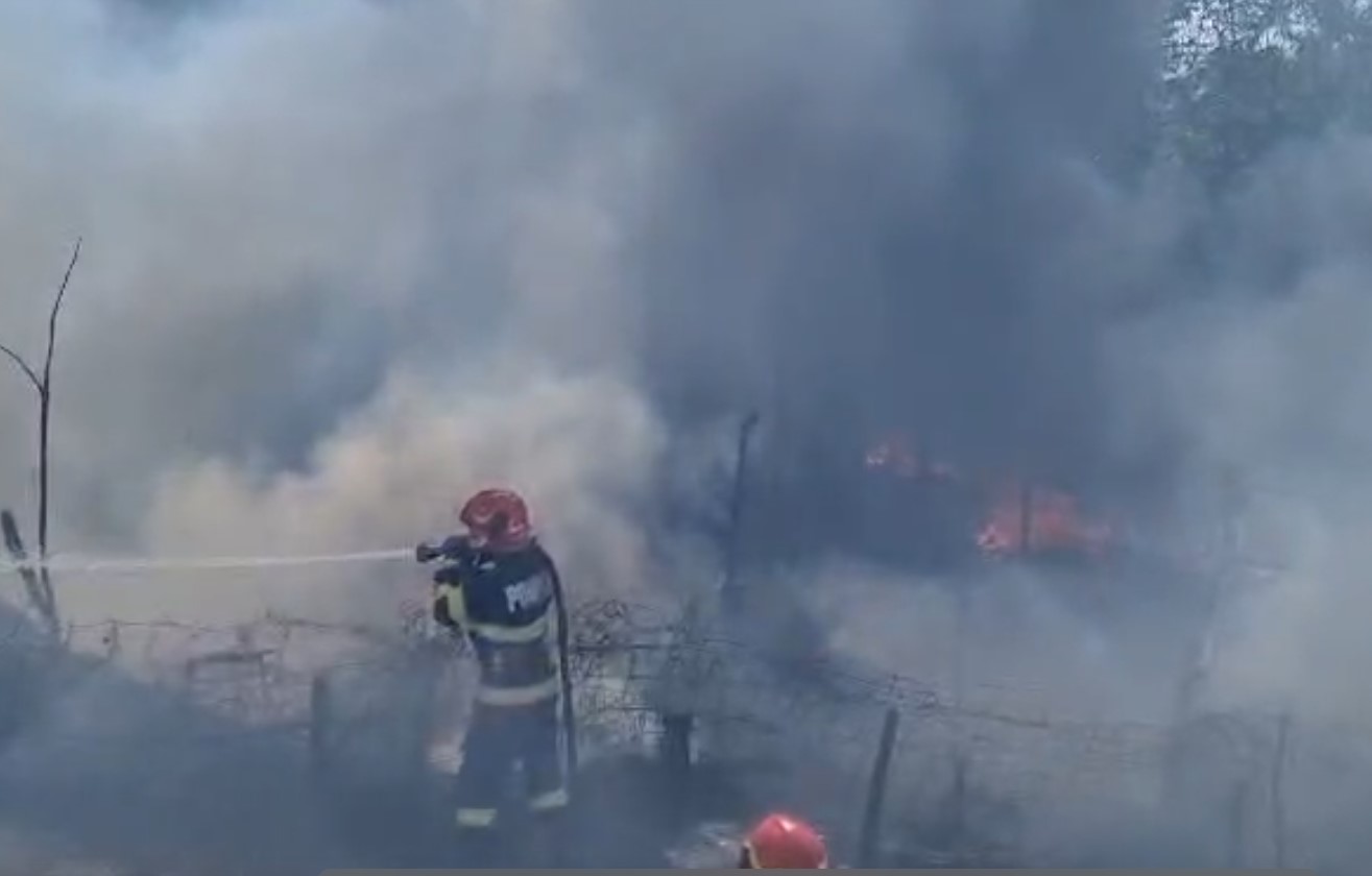 VIDEO: Incendiu de vegetaţie extins la un adăpost de animale, la Turcoaia