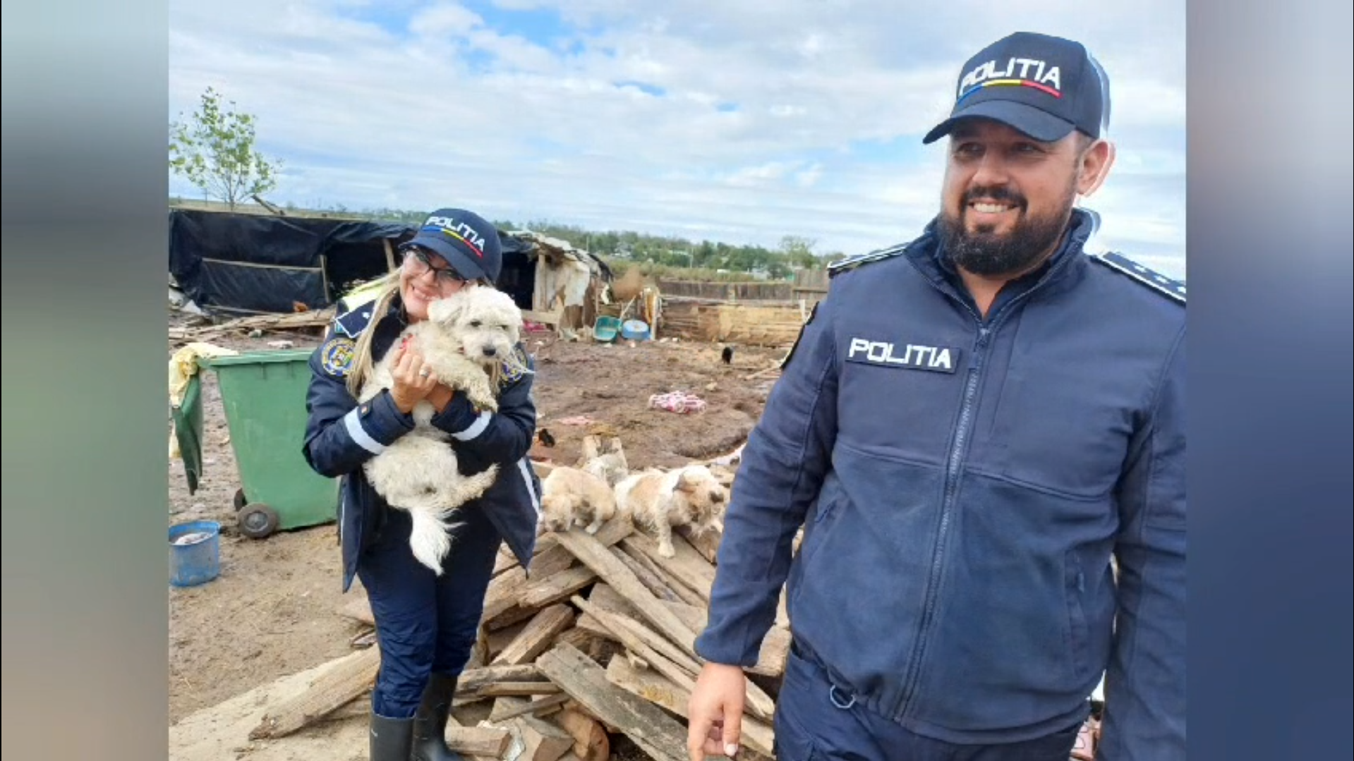 Galaţi: Animăluţe rănite şi rămase ale nimănui după inundaţii! Ample acţiuni ale Poliţiei pentru Protecţia Animalelor (VIDEO)