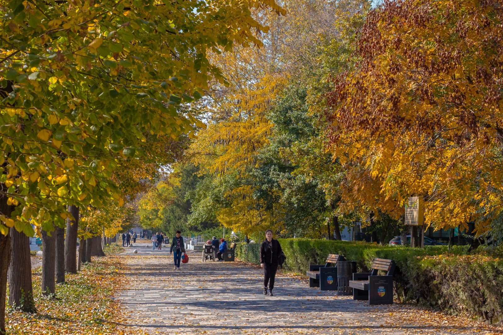 Album foto: Frumoasele urme ale toamnei în Galați