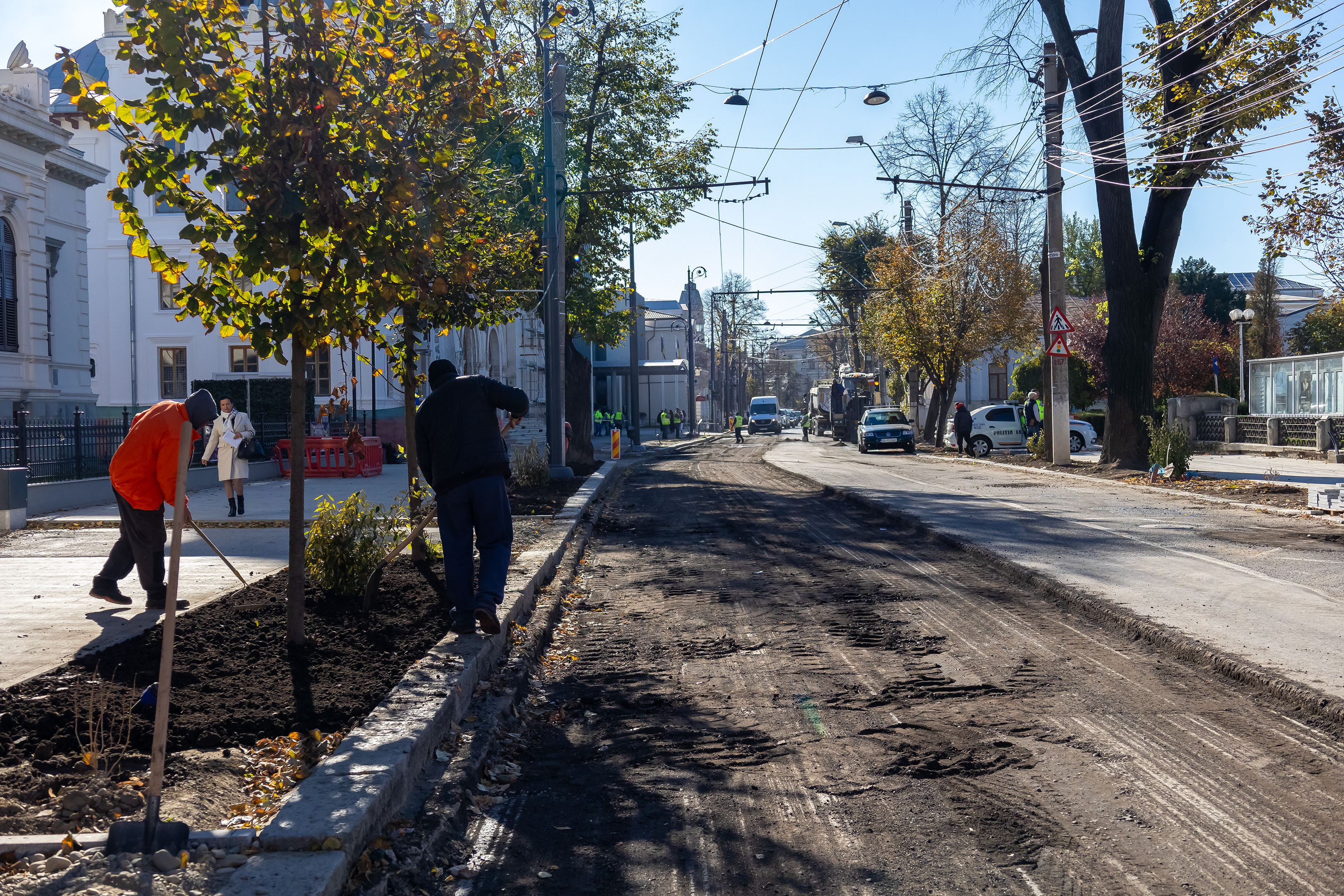 Strada Domnească reînvie