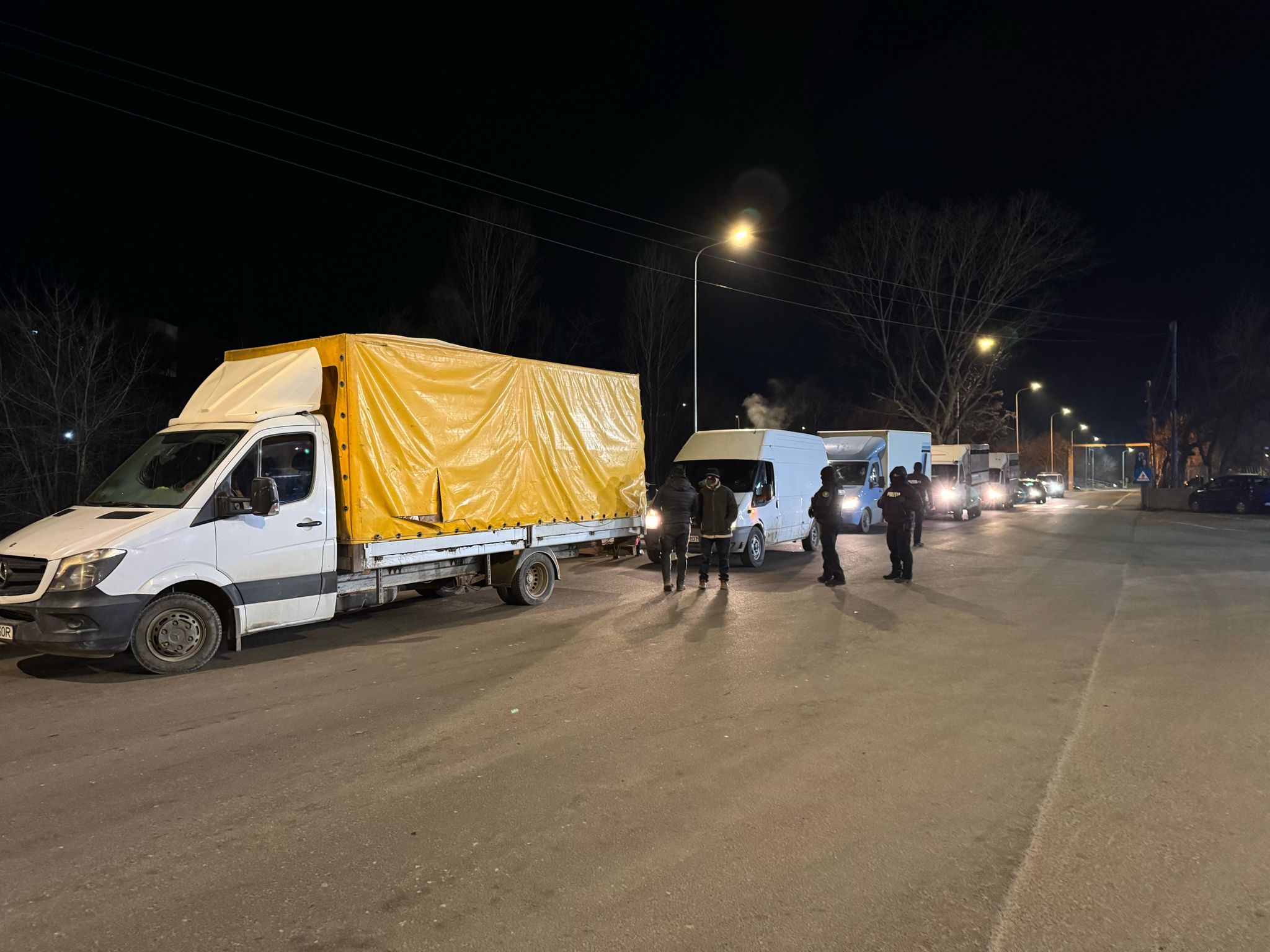 FOTO: Transport ilegal de animale oprit la Tulcea