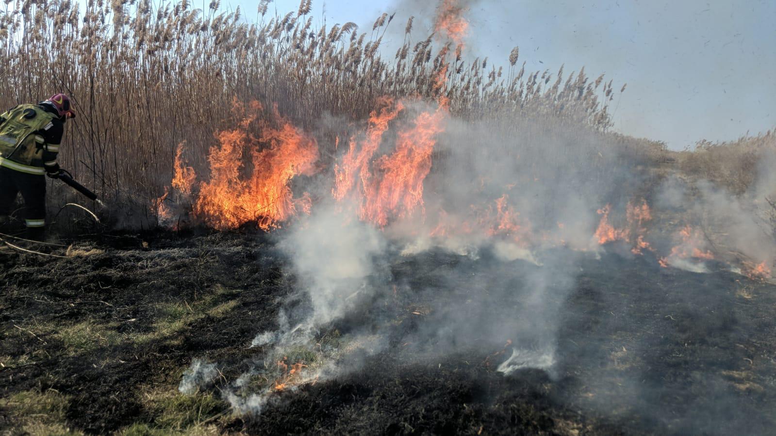 VIDEO: Incendiu puternic de vegetaţie, lângă Măcin