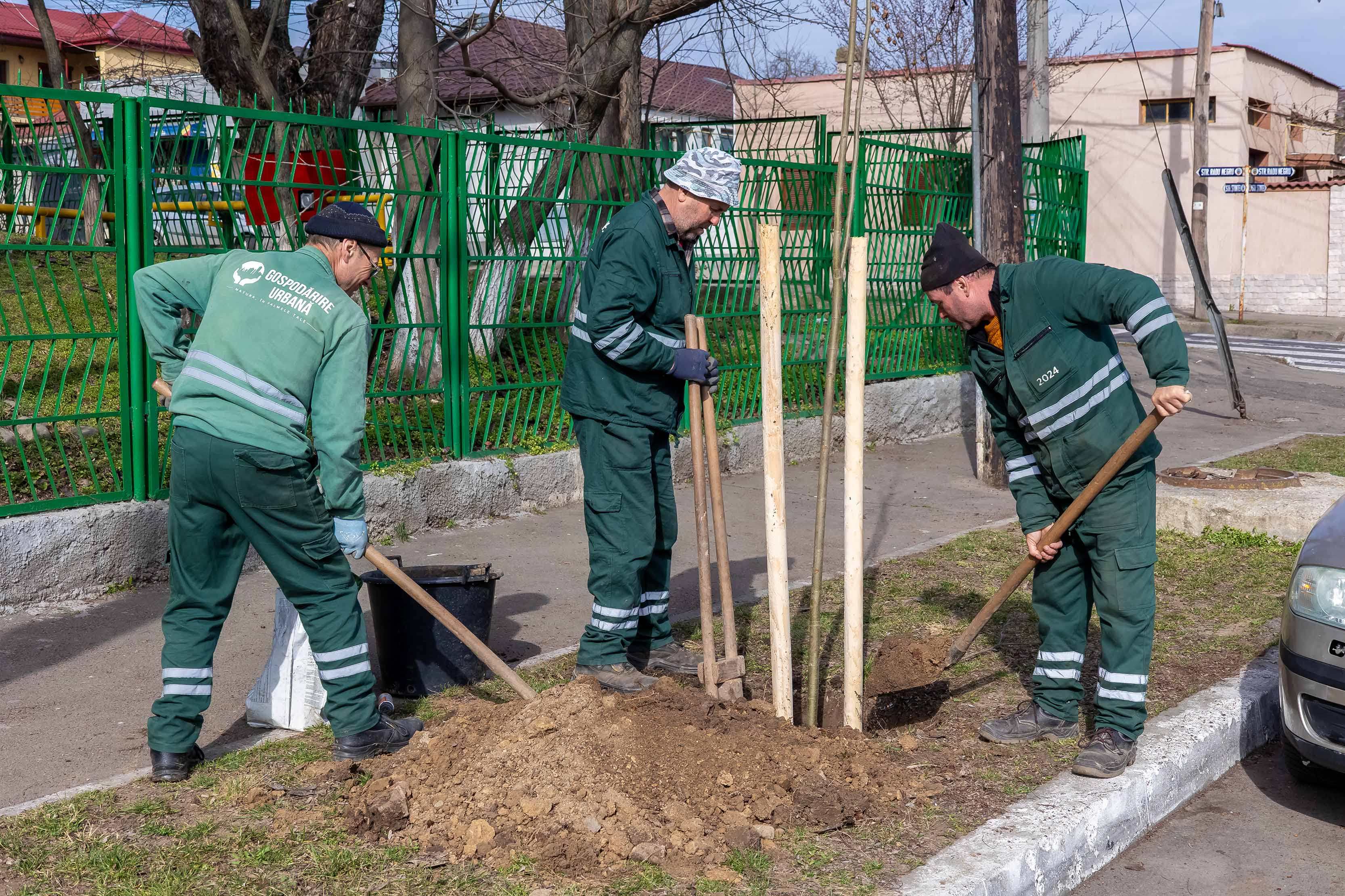 FOTO: A început o nouă campanie de plantări de copaci, în Galaţi