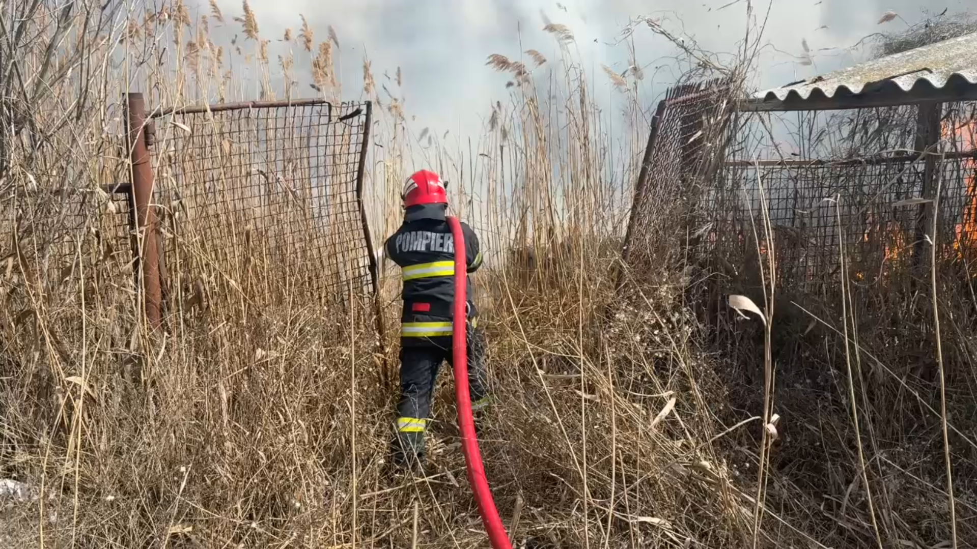 VIDEO: Incendiu izbucnit la vegetaţie uscată, în localitatea Isaccea, judeţul Tulcea