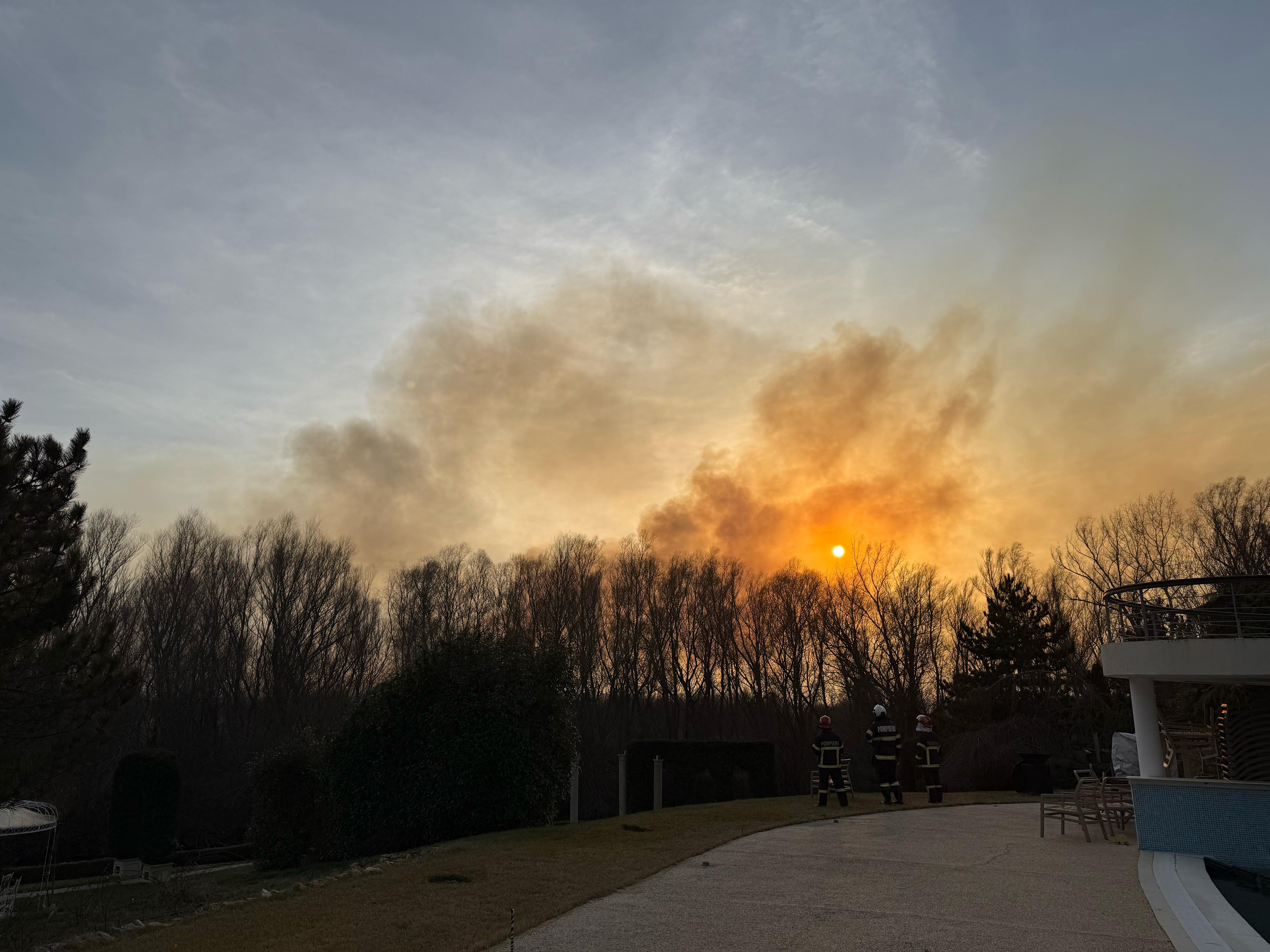 ARDE DELTA! Incendiu puternic în apropiere de localitatea Dunavăţu de Jos (FOTO/VIDEO)