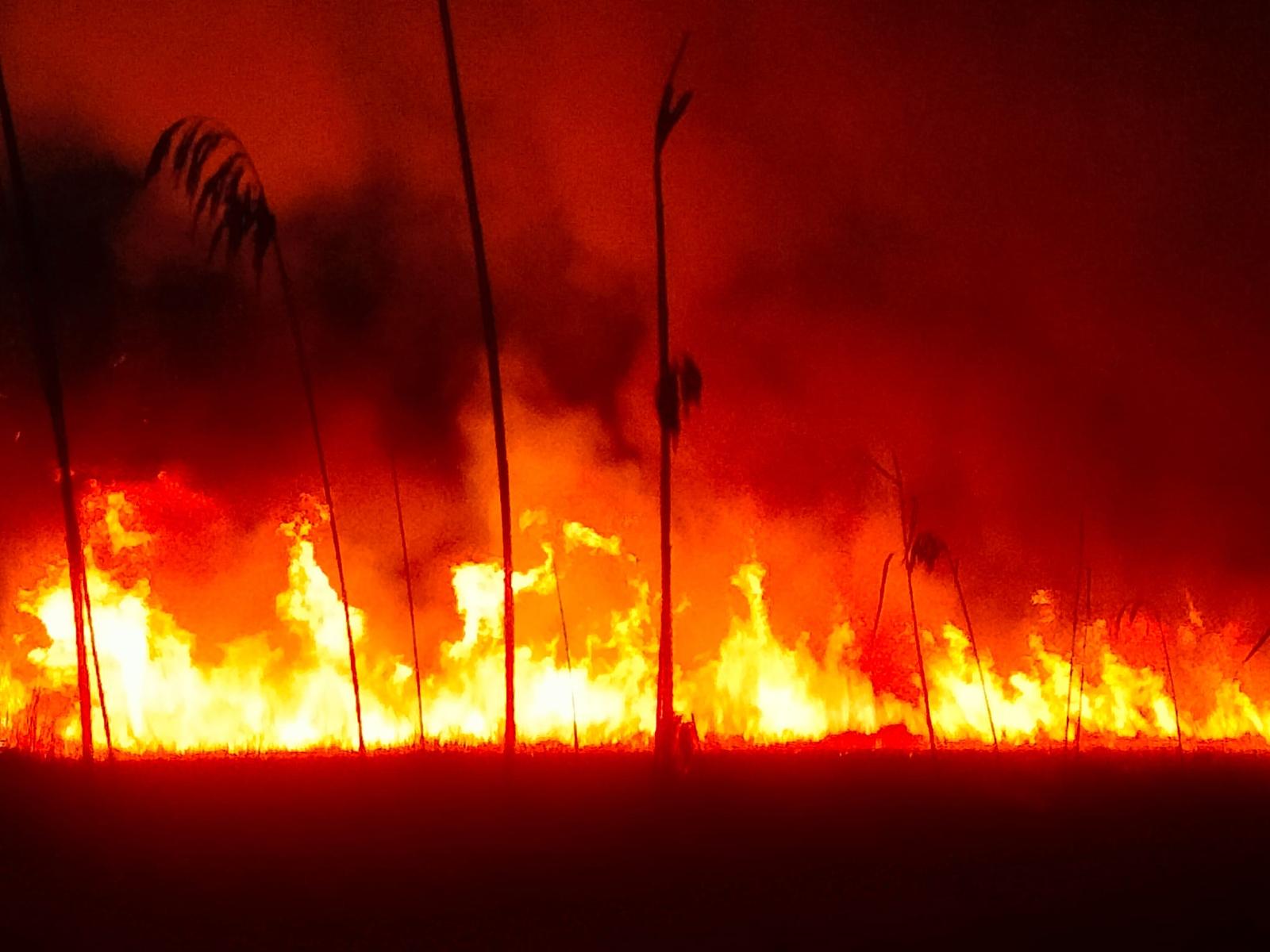 FOTO: Incendiu de vegetație uscată în zona localității Caraorman din Delta Dunării (UPDATE)