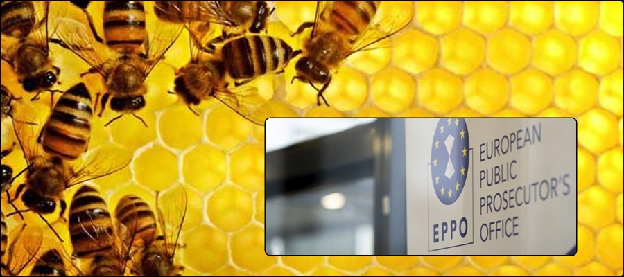 Perchetul European: Peste 300 percheziţii într-o fraudă de 1,32 milioane euro cu subvenţii UE pentru apicultură