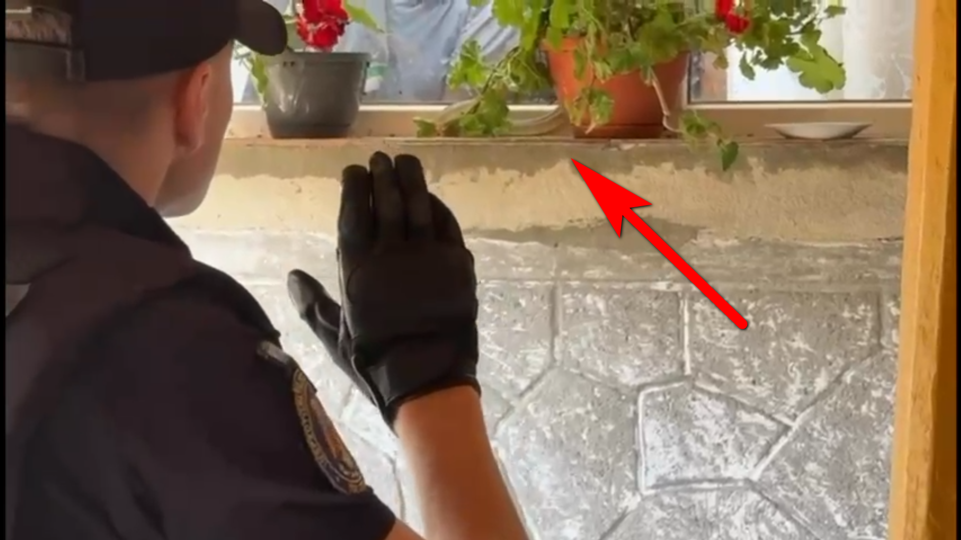 Panică: Şarpe ascuns în vază, pe pervazul casei unui tulcean! Au intervenit jandarmii (VIDEO)