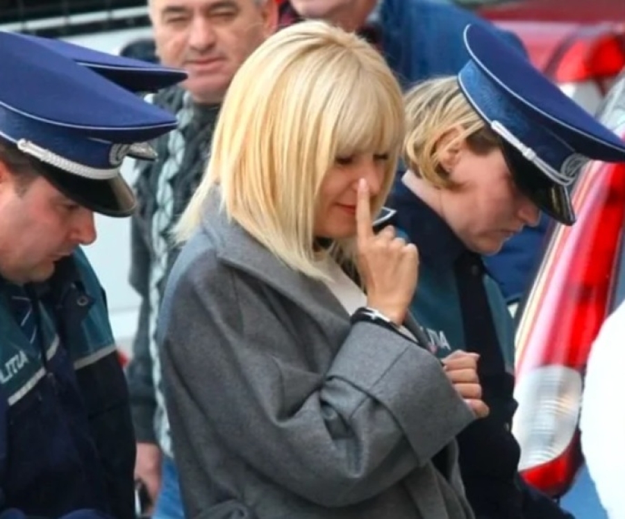 Elena Udrea, aproape de libertate