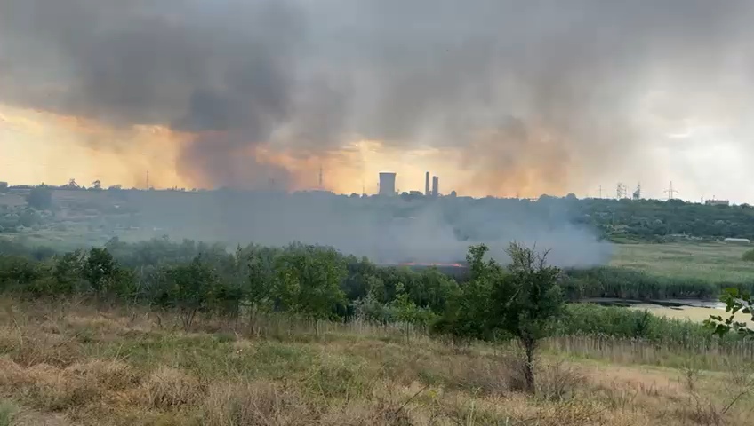 Galați: Incendiu de vegetație la balta Cătușa (VIDEO)