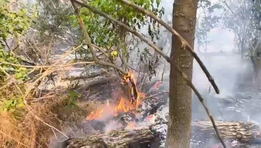 VIDEO: Incendiu de proporții la Umbrărești