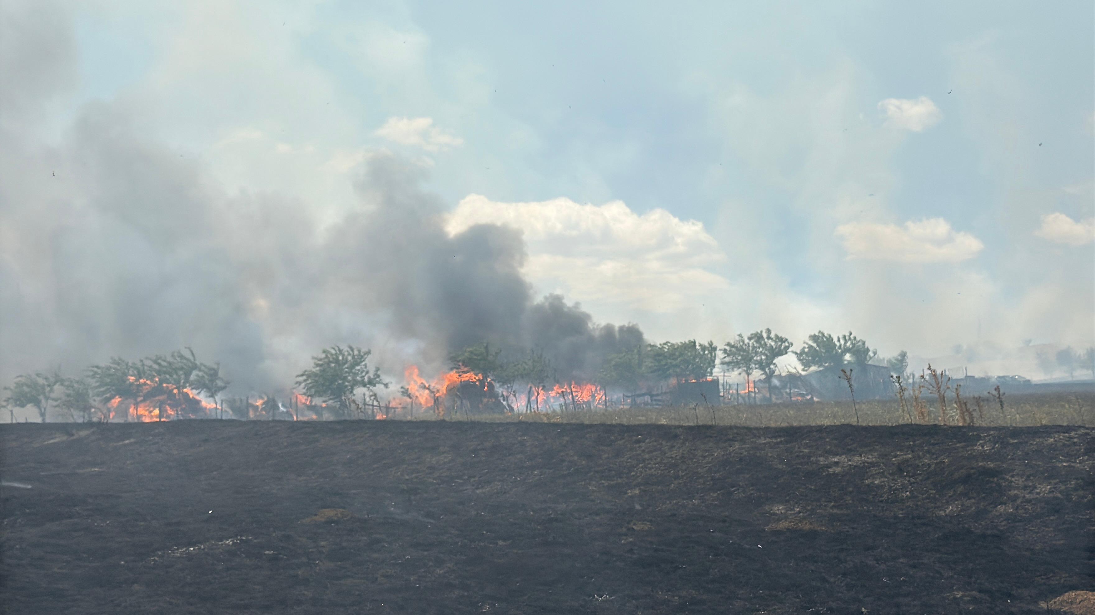 VIDEO: Incendiu la o stână de oi din Tulcea
