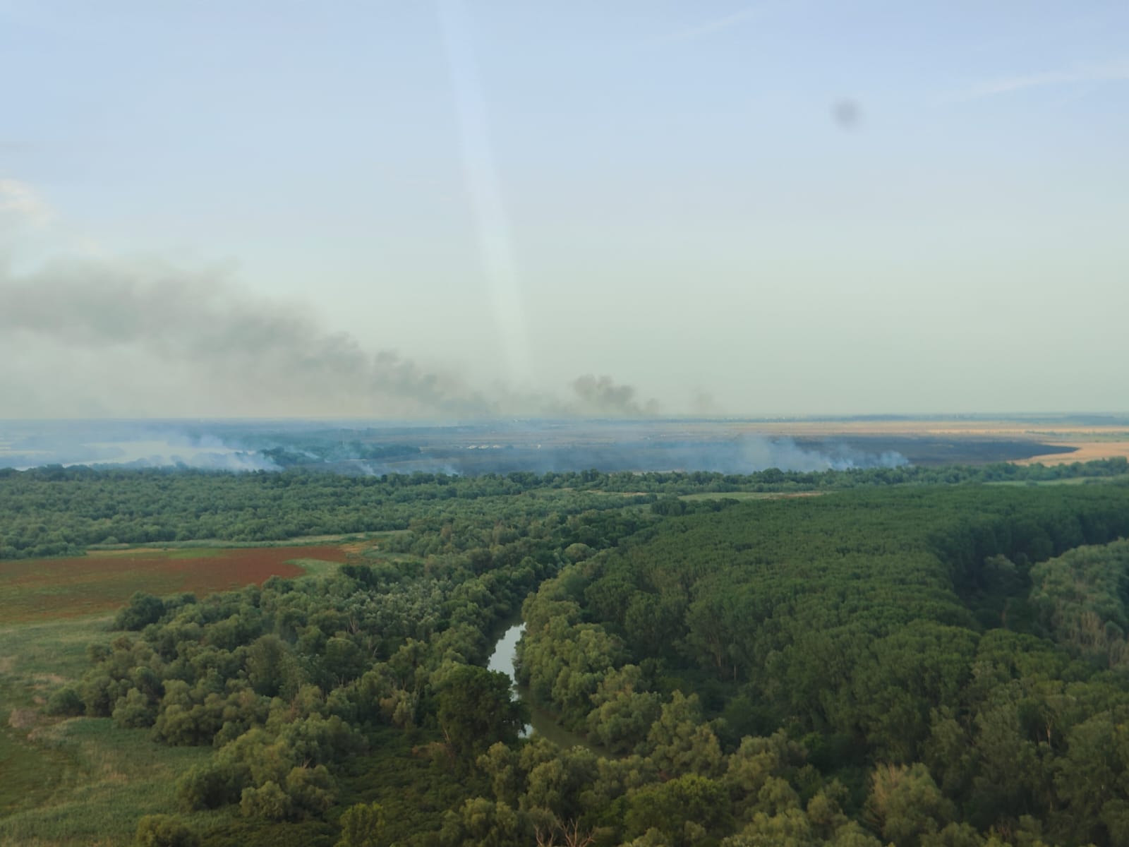 VIDEO: S-a reaprins incendiul din Deltă - UPDATE