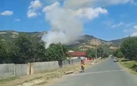 VIDEO: Incendiu puternic de vegetație lângă Greci, Tulcea
