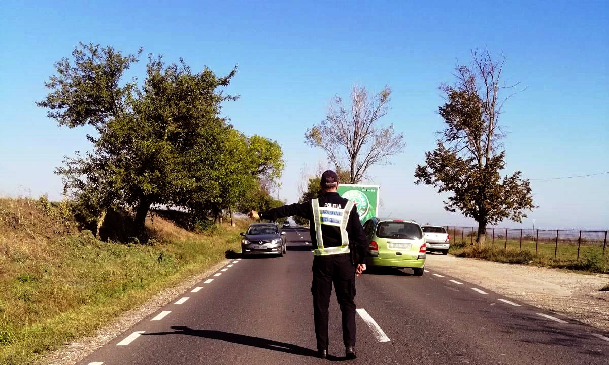 Folteşti: La mijlocul nopţii, cu dreptul de a conduce suspendat