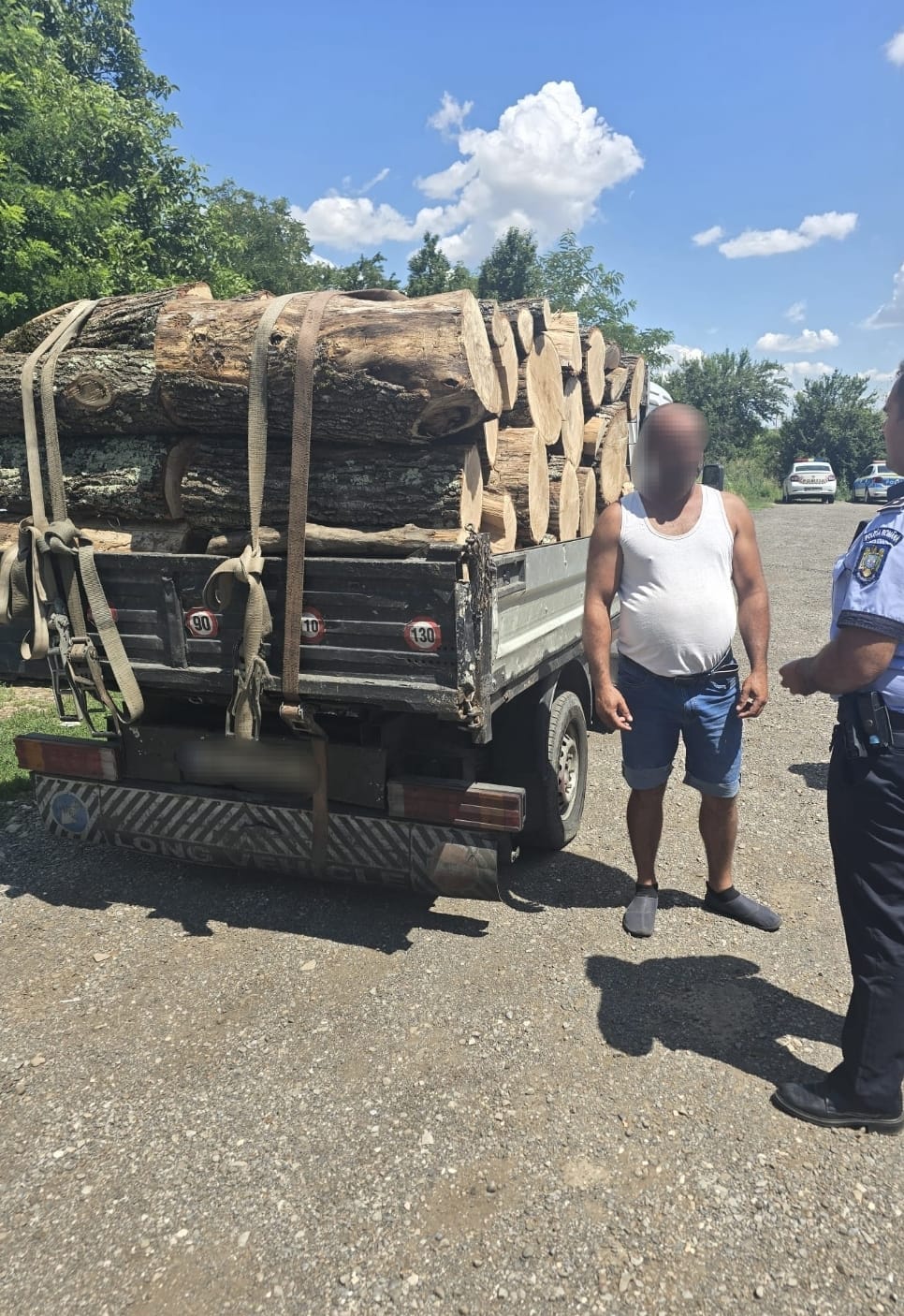 Transport ilegal de lemne oprit la Ulmu, Brăila