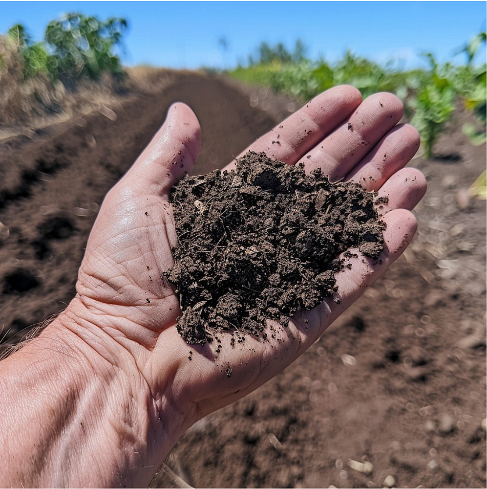 Leacuri din pământ: Cum au schimbat lumea două femei şi multe probe de sol