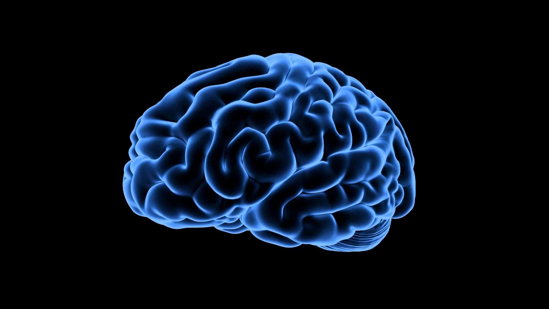 Mintea ta, noul câmp de luptă: ce este războiul cognitiv şi de ce ar trebui să-ţi pese