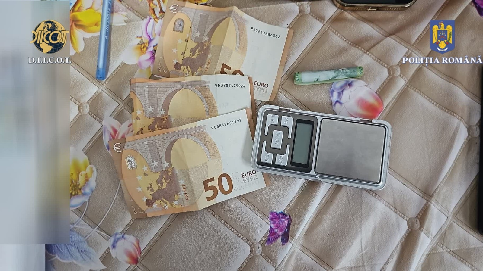 Proxeneţi băgaţi la răcoare după percheziţii uriaşe în Tulcea şi Constanţa