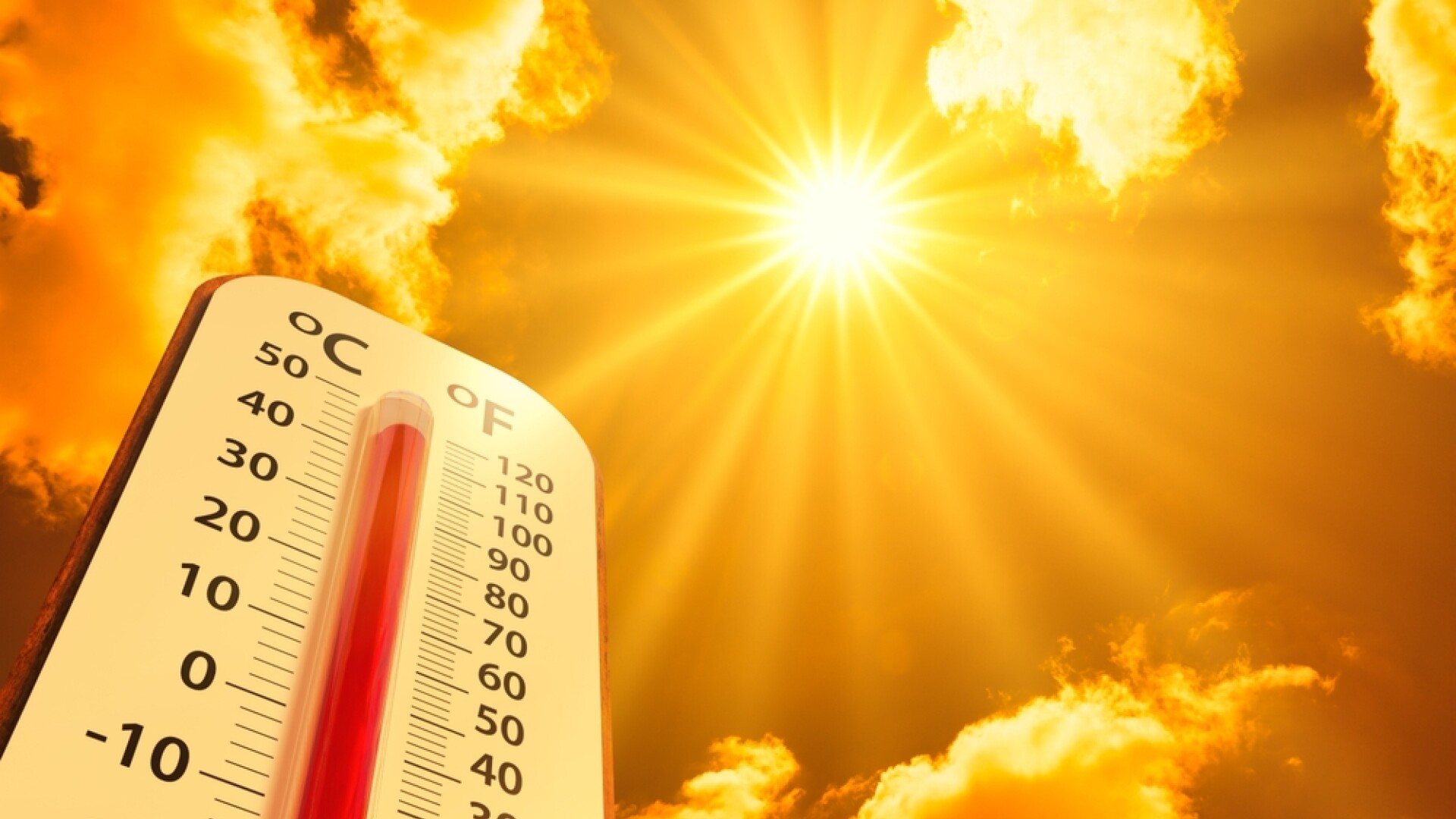 Europa, în mijlocul unui val de căldură extremă. Peste 42°C în mai multe ţări