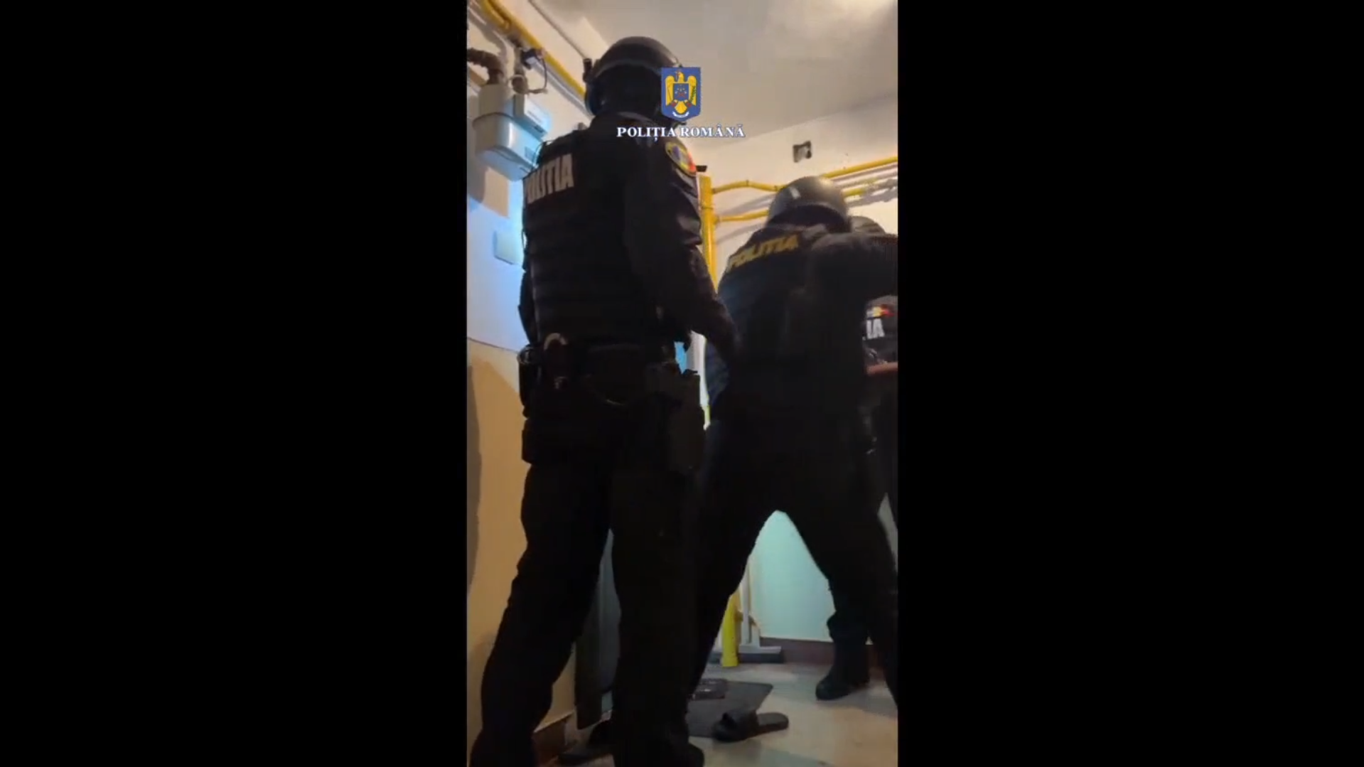 VIDEO: Reţinuţi de poliţişti pentru tulburarea ordinii şi liniştii publice, lovire sau alte violenţe, la Brăila