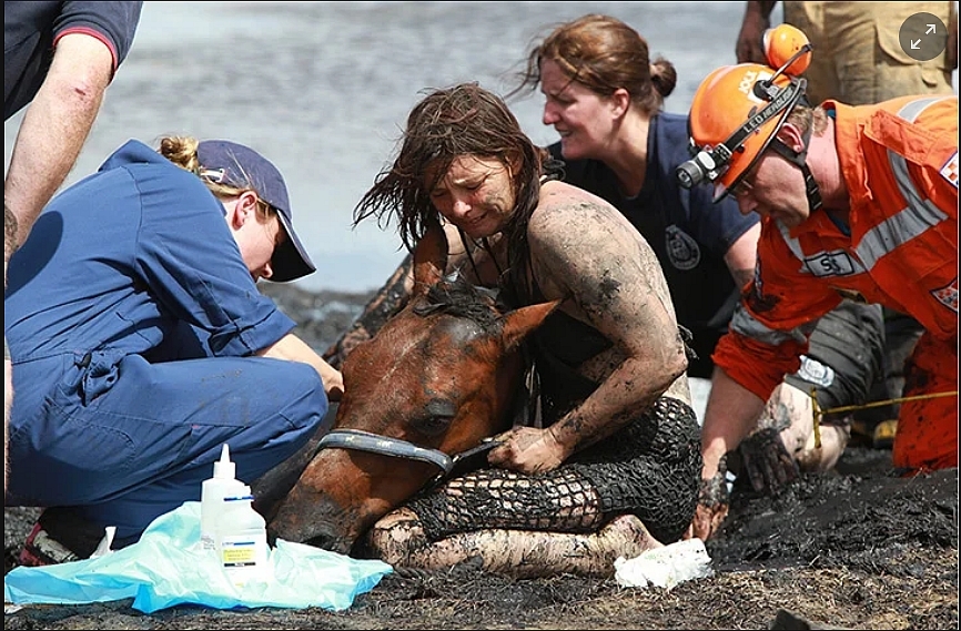 FOTO: O cursă contra timpului pe o plajă din Australia