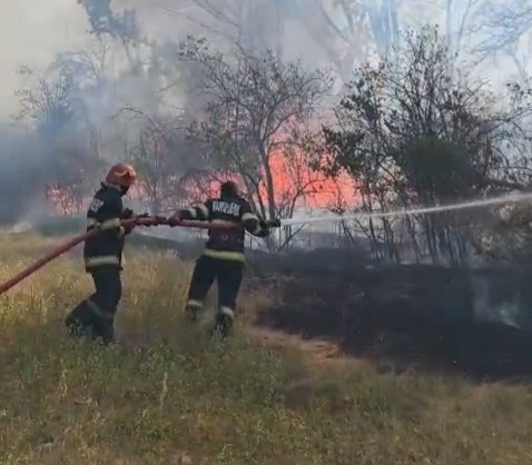 VIDEO: Incendiu de vegetație uscată în localitatea Salcia, comuna Umbrărești