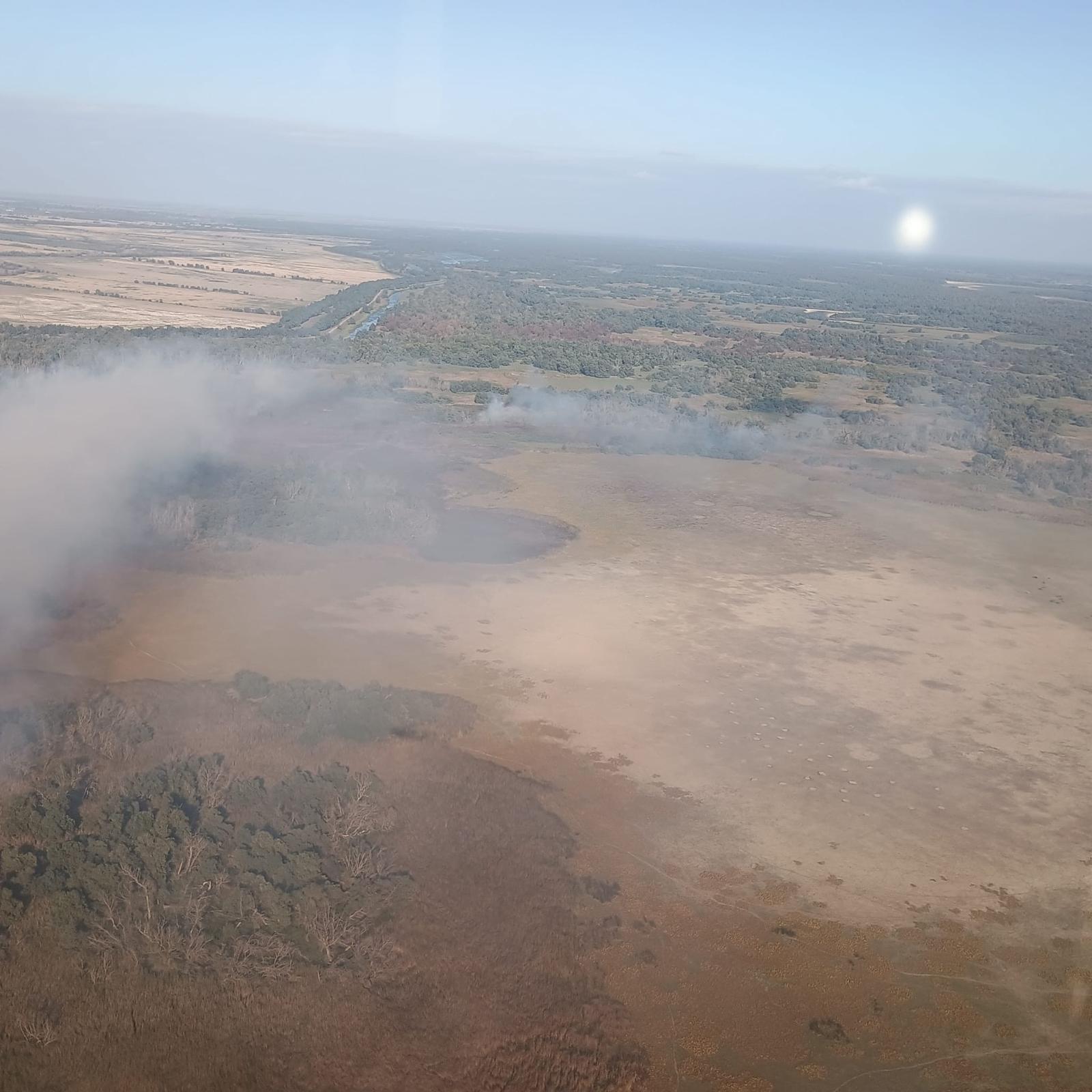 VIDEO: Incendii de vegetaţie lângă Agighiol şi în Deltă