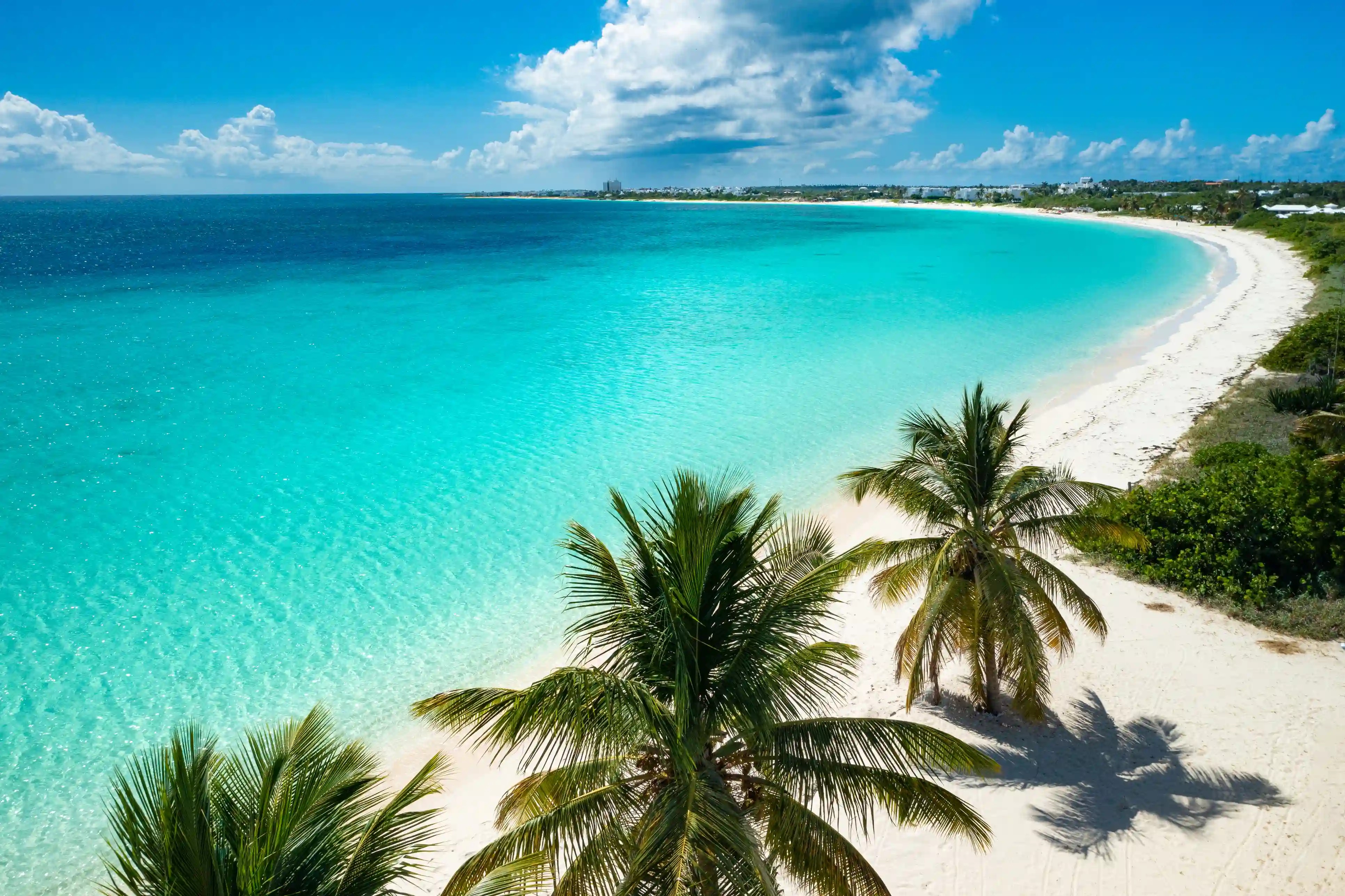 Cum a transformat extensia .ai insula Anguilla într-o putere digitală globală