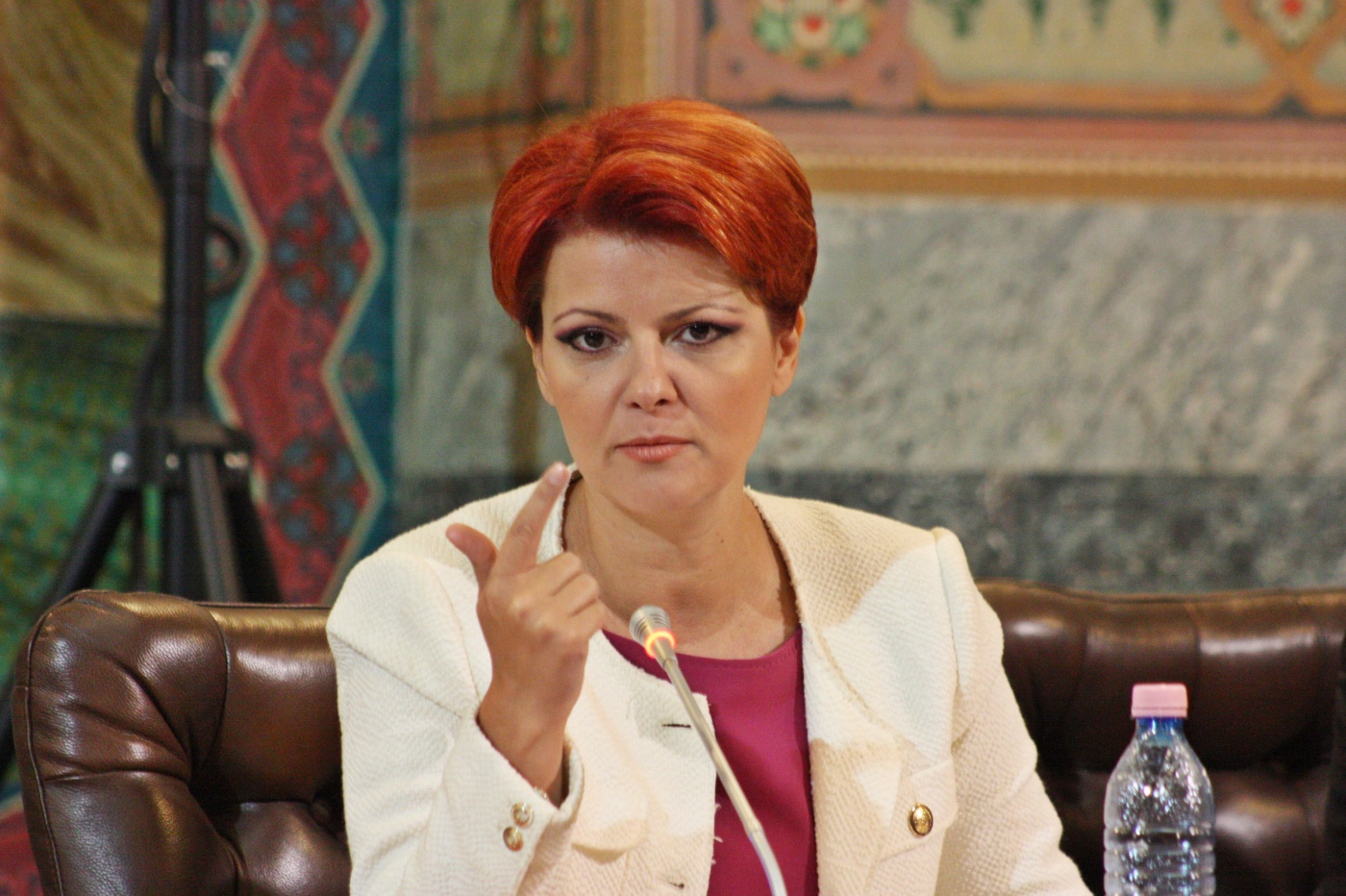 Olguţa Vasilescu: Din total posturi să fie o reducere de 40%, cu o frână de 20% din cele ocupate deja