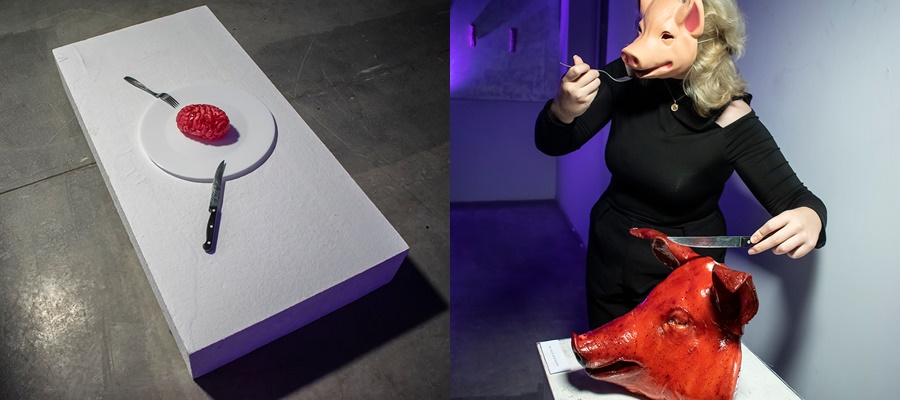 Galați: „PORCI” – Arta care zguduie conştiinţe, la BlackBOX Hala (FOTO)