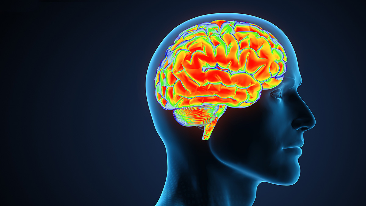 Un tratament experimental reuşeşte să elimine 45% din plăcile Alzheimer la şoareci