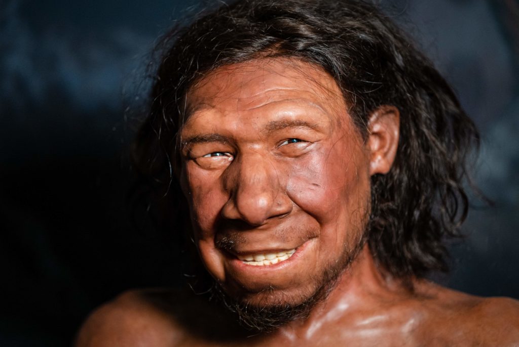 Incompatibilitatea genetică între neanderthalieni şi Homo sapiens ar fi contribuit la dispariţia acestora