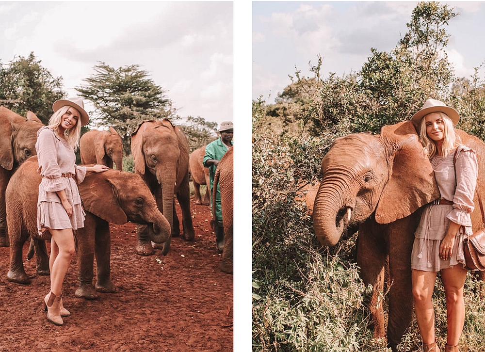 FOTO: O lecţie de umanitate în inima Africii: Sheldrick Wildlife Trust, sanctuarul elefanţilor orfani din Kenya