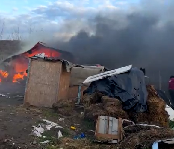 Apel umanitar pentru familia din satul Izvoarele rămasă fără casă după incendiul violent