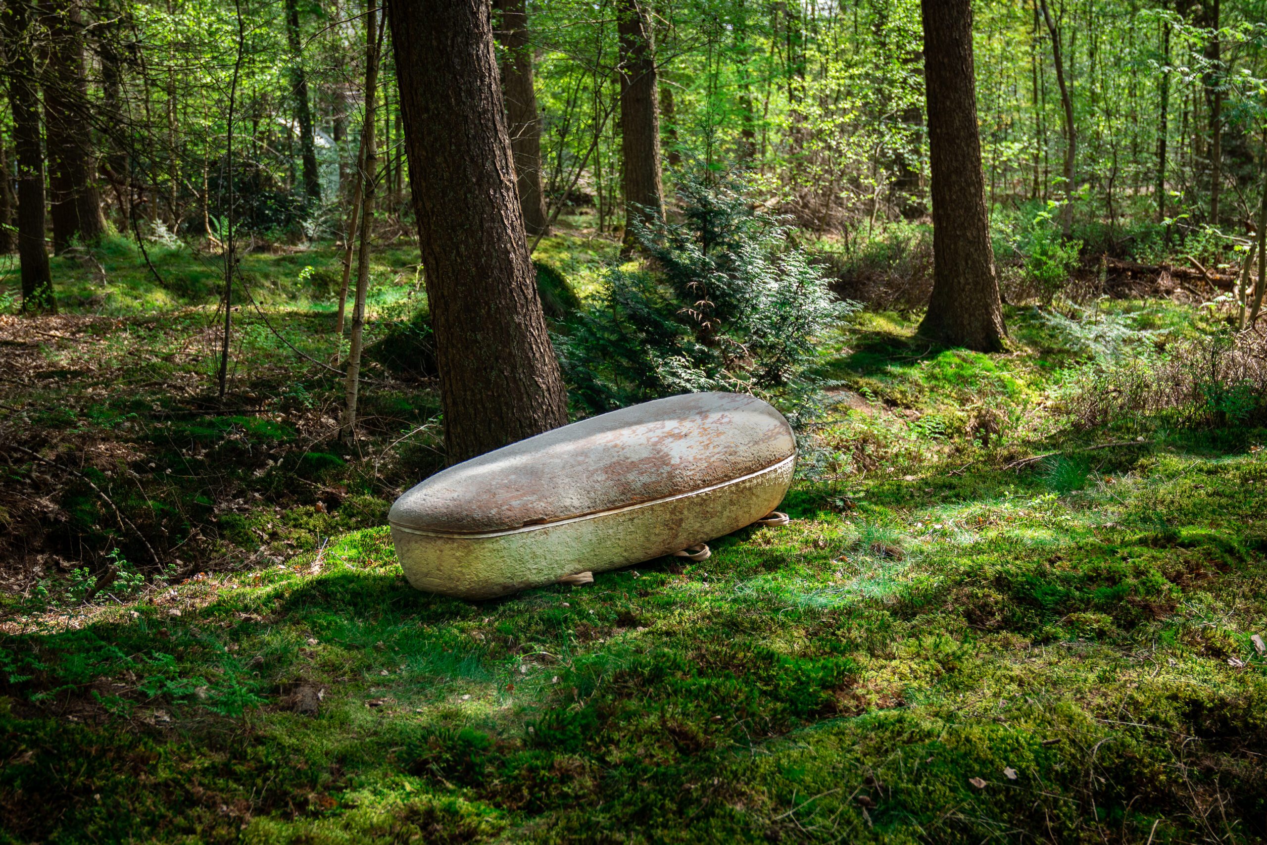 Sicriul biodegradabil care transformă ritualurile funerare într-un gest ecologic